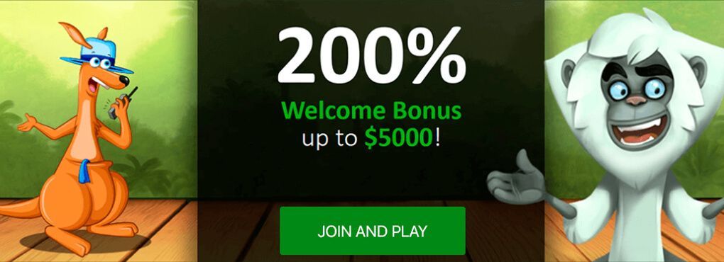 Roo Casino No Deposit Bonus Codes
